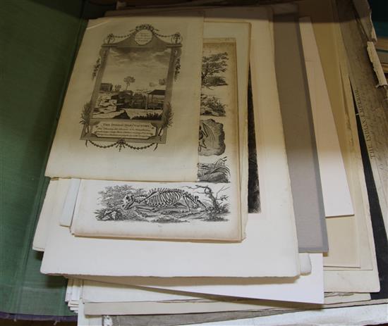 Portfolio of old prints etc